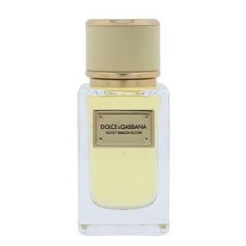 Dolce & Gabbana Velvet Mimosa Bloom