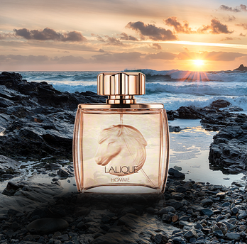 Lalique Pour Homme Equus