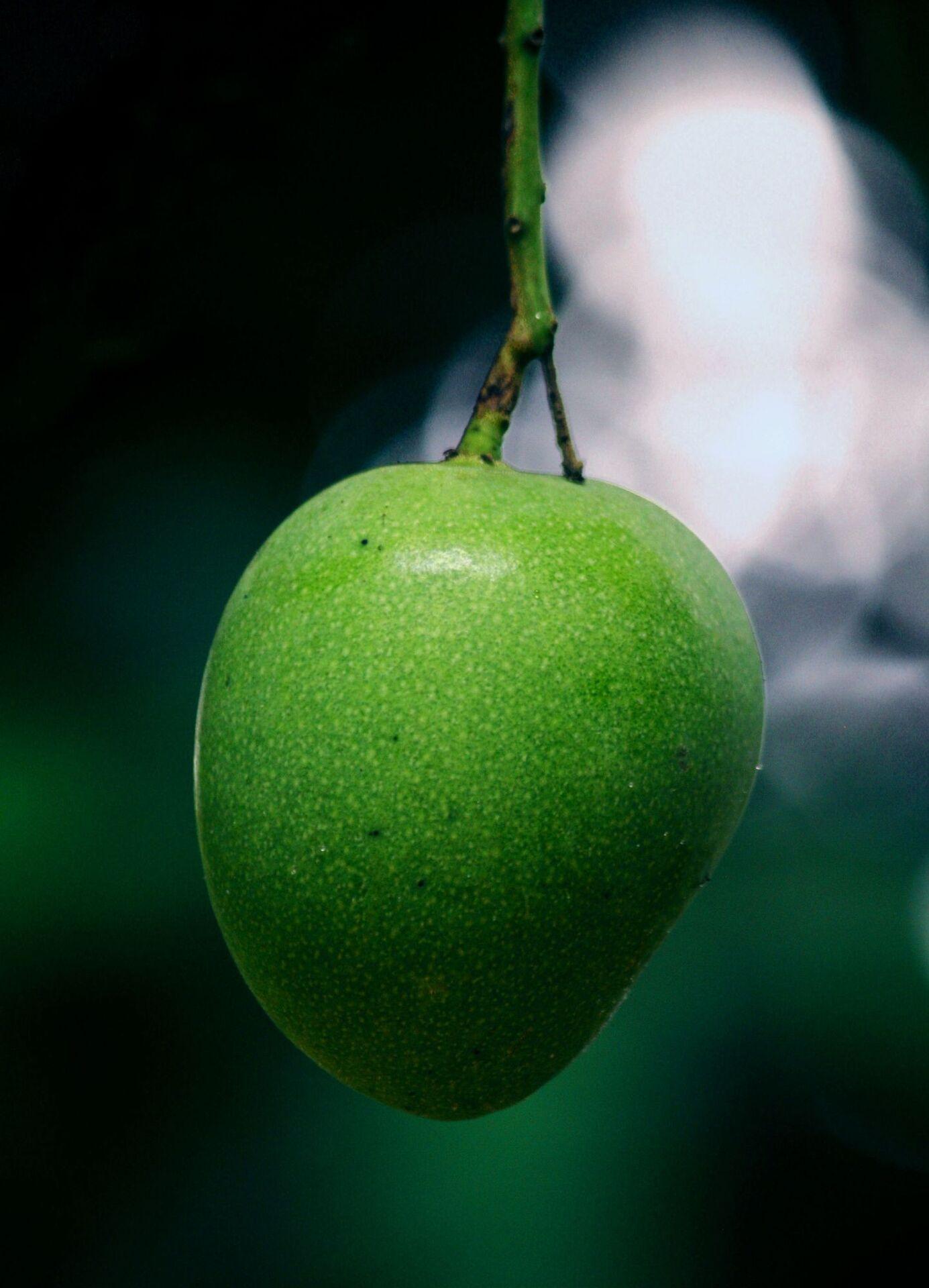Zelené mango má až nečekané aroma